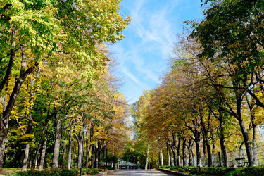 Similar image 1711116