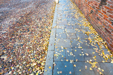 Similar image 1711135