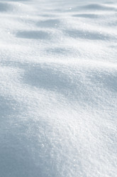 Similar image 1711248