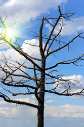 Similar image 1711302