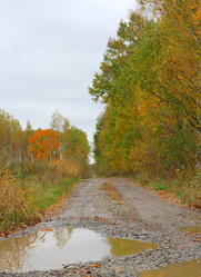 Similar image 1711306