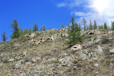 Similar image 1711310