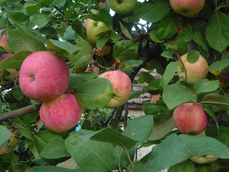 Similar image 1711480