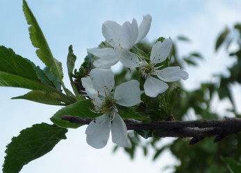 Similar image 1711481