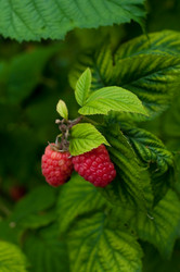 Similar image 1711548