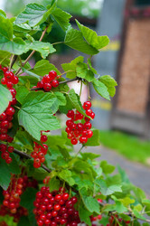 Similar image 1711609