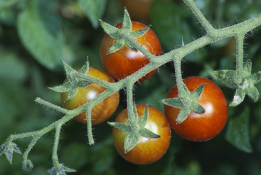 Similar image 1711641