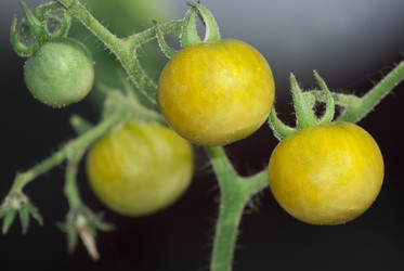 Similar image 1711642