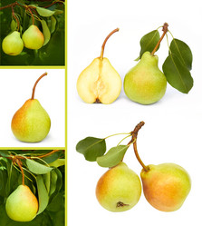 Similar image 1711649