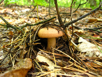 Similar image 1711660