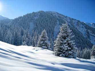 Similar image 1711684