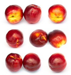 Similar image 1711734