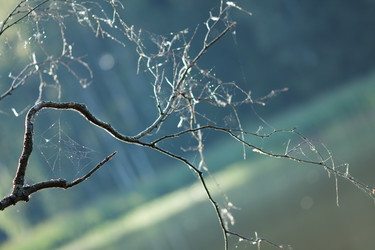 Similar image 1711769