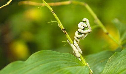 Similar image 1711778