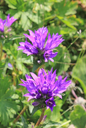 Similar image 1711792