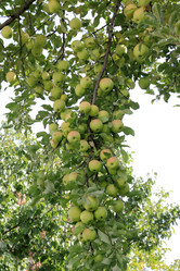 Similar image 1711793