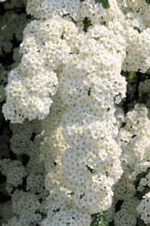 Similar image 1711795