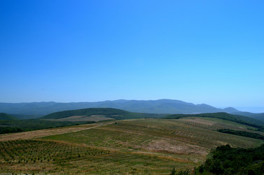 Similar image 1711797