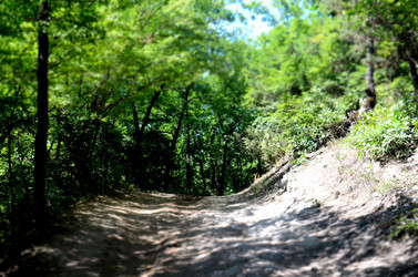 Similar image 1711815