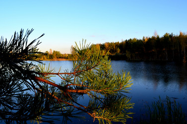 Similar image 1711817