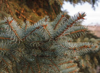 Similar image 1711902