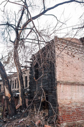 Similar image 1711923