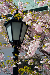 Similar image 1711935