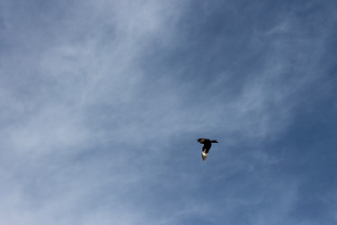 Similar image 1711940