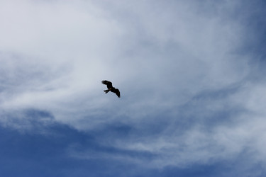 Similar image 1711941