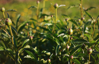 Similar image 1711954