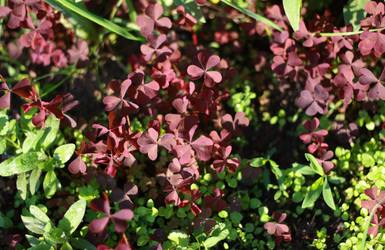 Similar image 1711956