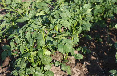 Similar image 1711957