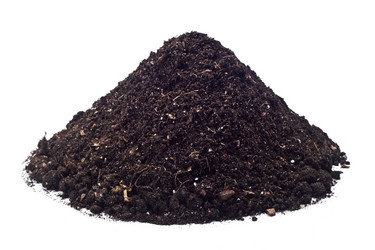 Similar image 1711973