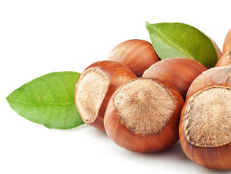 Similar image 1711977