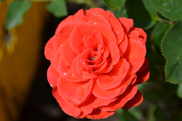 Similar image 1711996