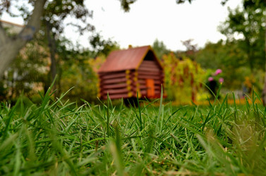 Similar image 1711997