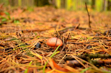 Similar image 1711999