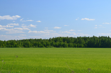 Similar image 1712001