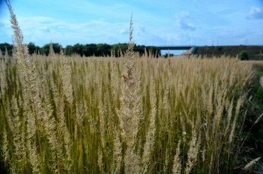 Similar image 1712002