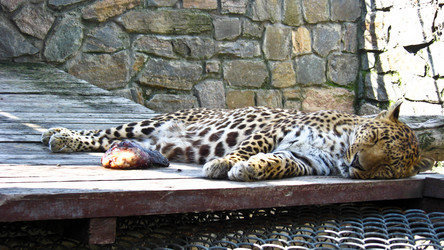 Similar image 1712053