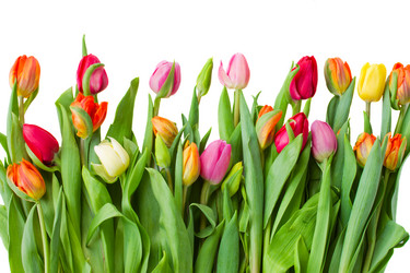 Similar image 1712128