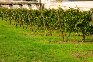 Similar image 1712134