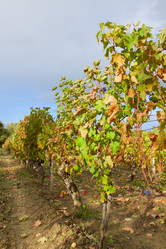 Similar image 1712135