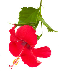 Similar image 1712144