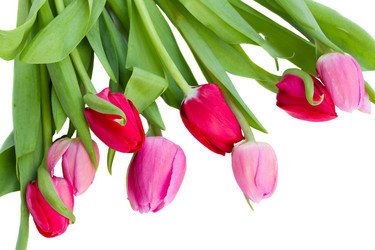 Similar image 1712146