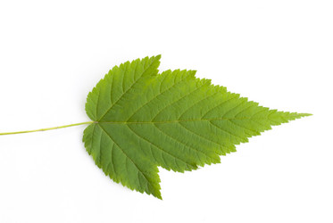 Similar image 1712310