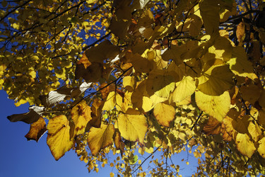 Similar image 1712519