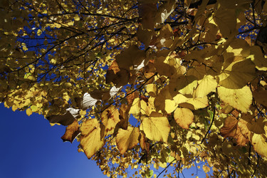 Similar image 1712523