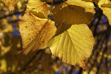 Similar image 1712529