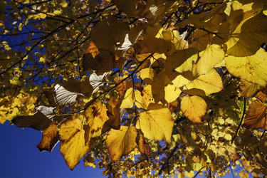 Similar image 1712536